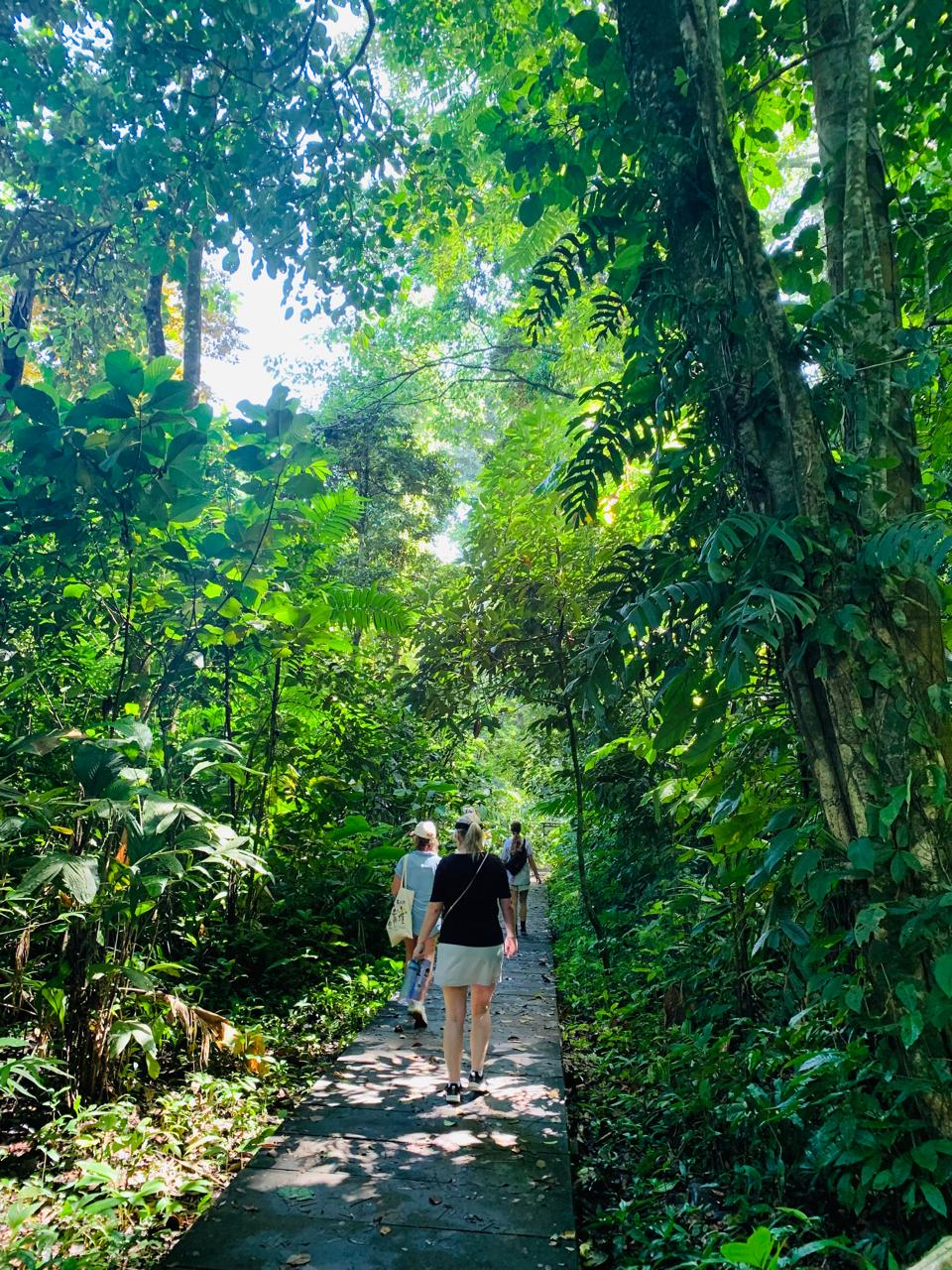 Tortuguero WhatsApp Image 2025-12-06 at 11.40.49 AM (4)